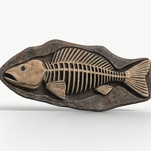 Fish Fossil 001 Textured 3D