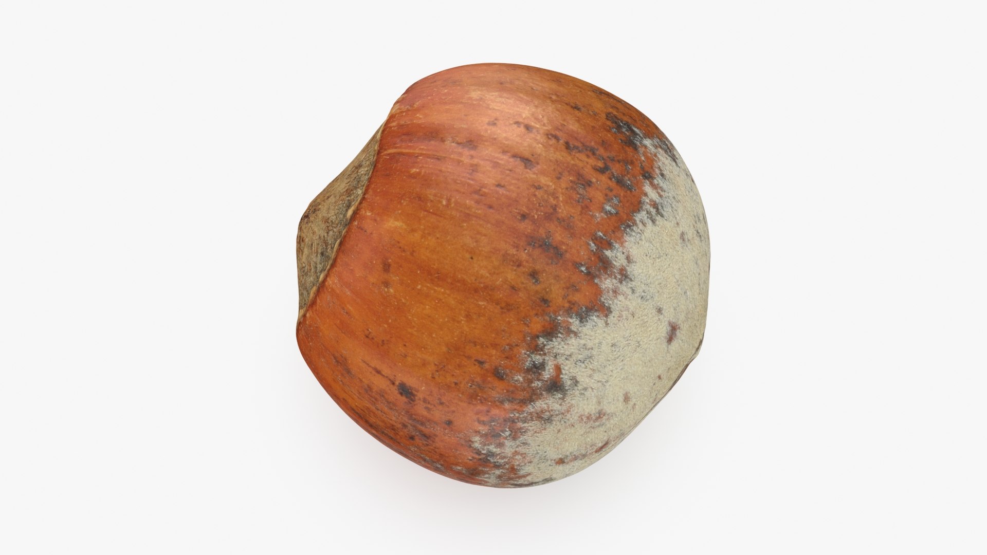3D Hazelnuts in Shell Collection https://p.turbosquid.com/ts-thumb/2P/HjewyN/Et/hazelnutshell01_a0001/jpg/1728474711/1920x1080/fit_q87/c9a82c5edc8c2d5e189fa0276b3fe02d81cca50e/hazelnutshell01_a0001.jpg