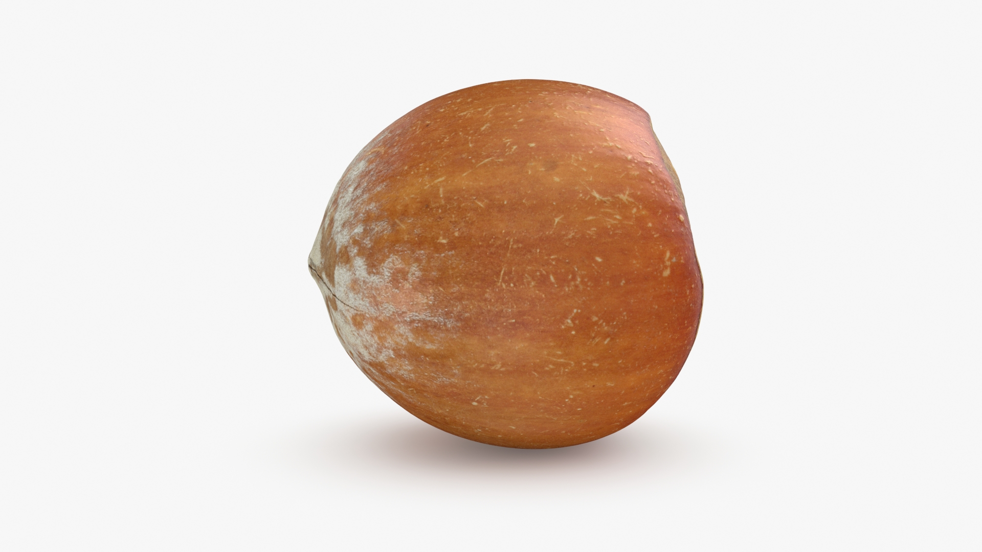 3D Hazelnuts in Shell Collection https://p.turbosquid.com/ts-thumb/2P/HjewyN/Y4/hazelnutshell02/jpg/1727606052/1920x1080/turn_fit_q99/4621a1a4566ca2769c48ff3113a284e66b6e869f/hazelnutshell02-1.jpg