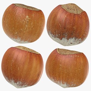 Hazelnuts in Shell Collection