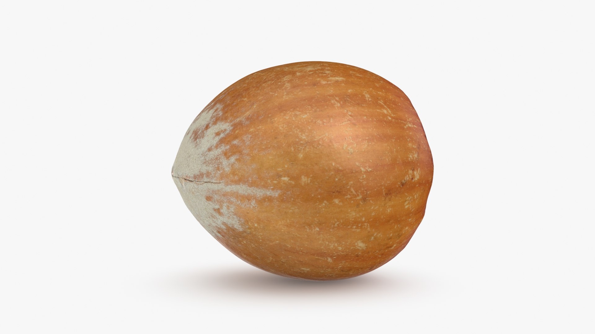 3D Hazelnuts in Shell Collection https://p.turbosquid.com/ts-thumb/2P/HjewyN/hc/hazelnutshell03_a0001/jpg/1728473884/1920x1080/fit_q87/27588d52290dcc281a5319133a0cc119bf896885/hazelnutshell03_a0001.jpg