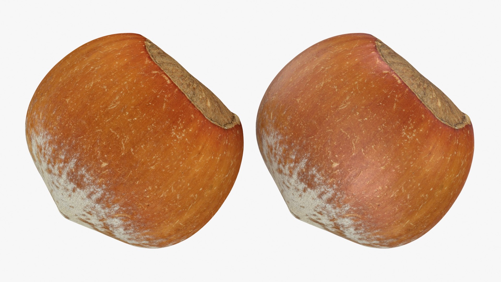 3D Hazelnuts in Shell Collection https://p.turbosquid.com/ts-thumb/2P/HjewyN/ro/hazelnutshell02_a0003/jpg/1729152164/1920x1080/fit_q87/90d0de746d69d9561870d95e2e38db562276b68f/hazelnutshell02_a0003.jpg