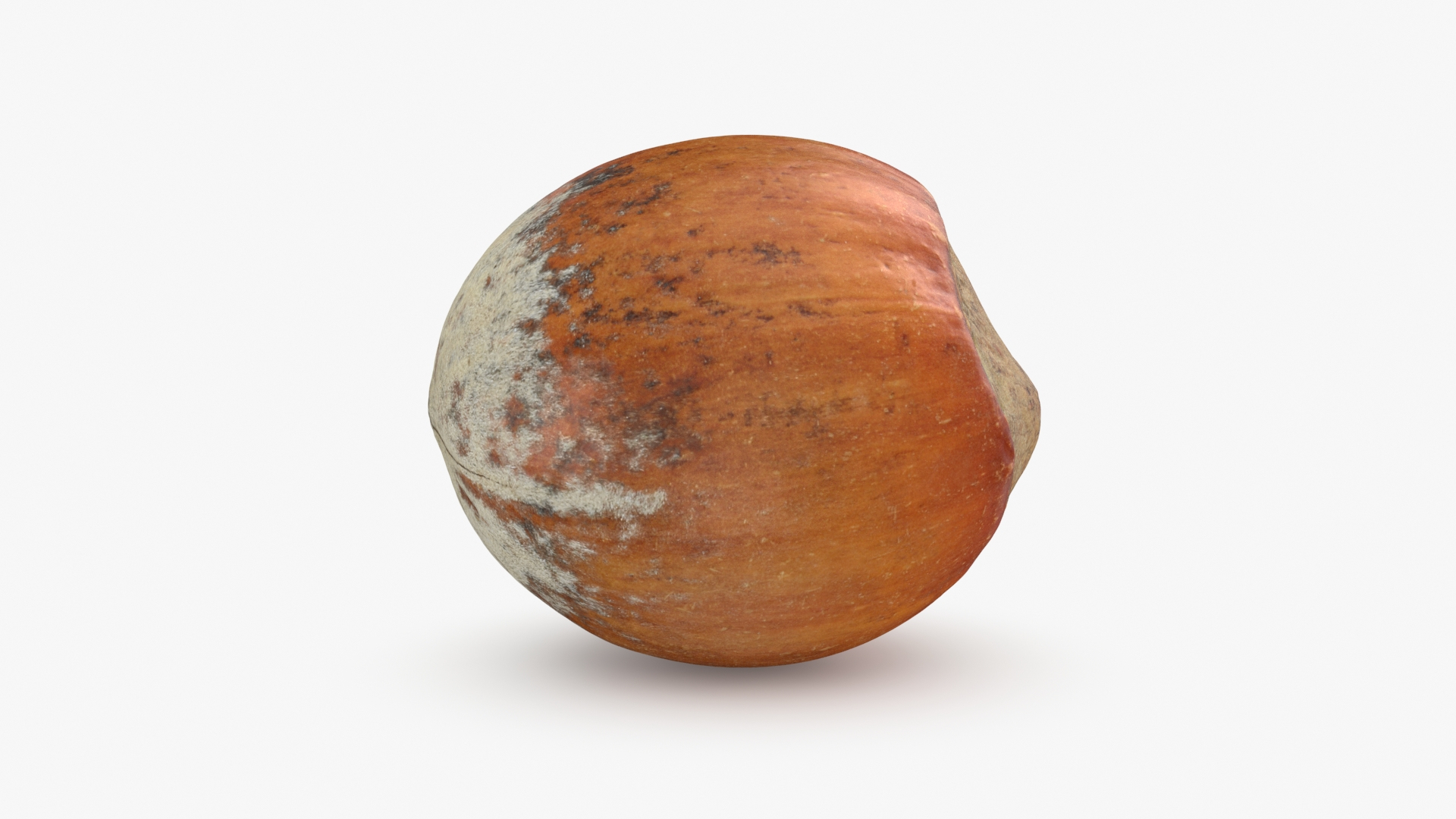 3D Hazelnuts in Shell Collection https://p.turbosquid.com/ts-thumb/2P/HjewyN/vn/hazelnutshell01/jpg/1728474656/1920x1080/turn_fit_q99/b6c3c470881bd0fdcb7050d9251ac67668ef6c6e/hazelnutshell01-1.jpg