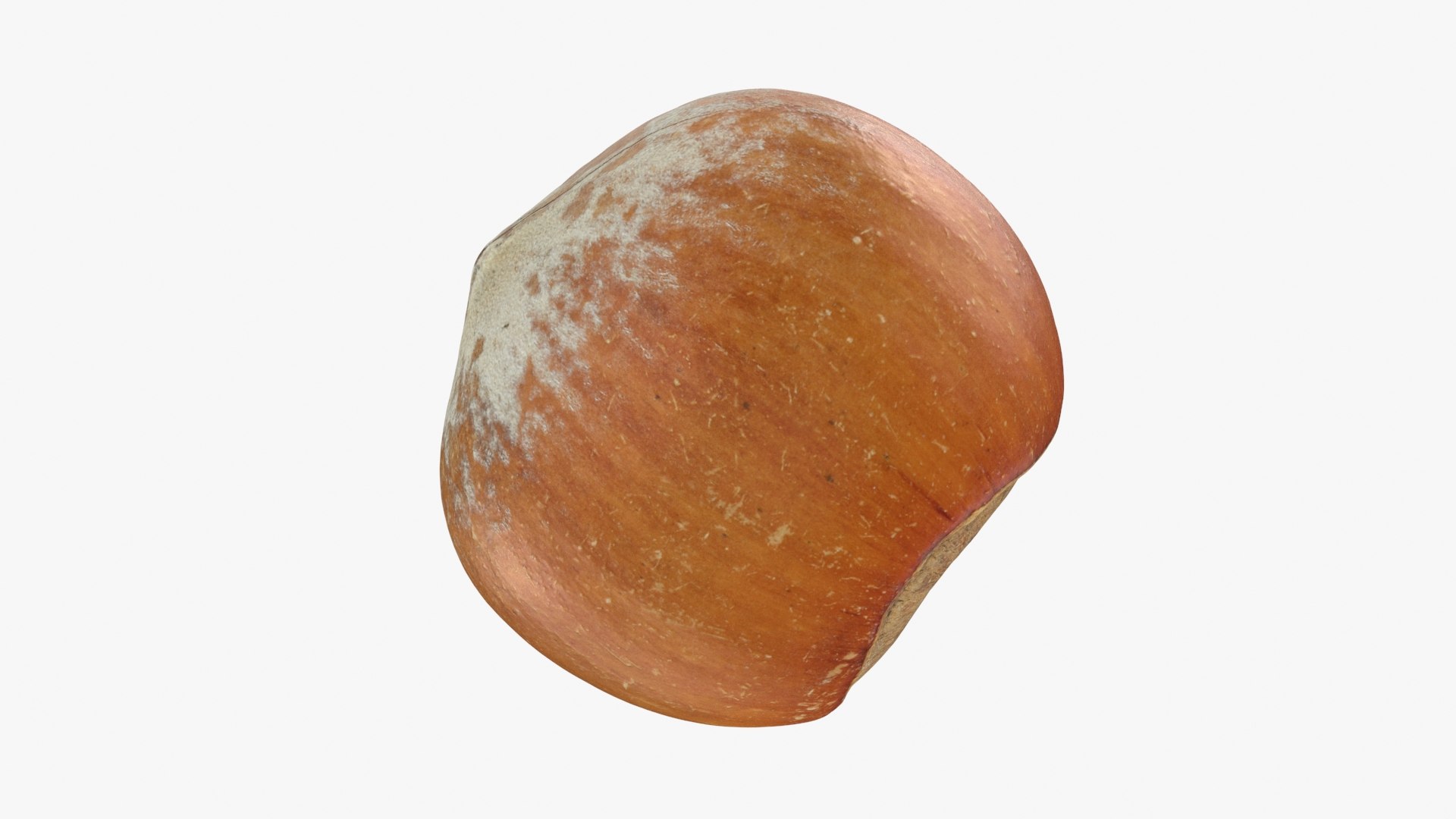 3D Hazelnuts in Shell Collection https://p.turbosquid.com/ts-thumb/2P/HjewyN/xV/hazelnutshell02_a0001/jpg/1728475183/1920x1080/fit_q87/98673989812a908e197bfaf688ec4ac915bbc1b8/hazelnutshell02_a0001.jpg