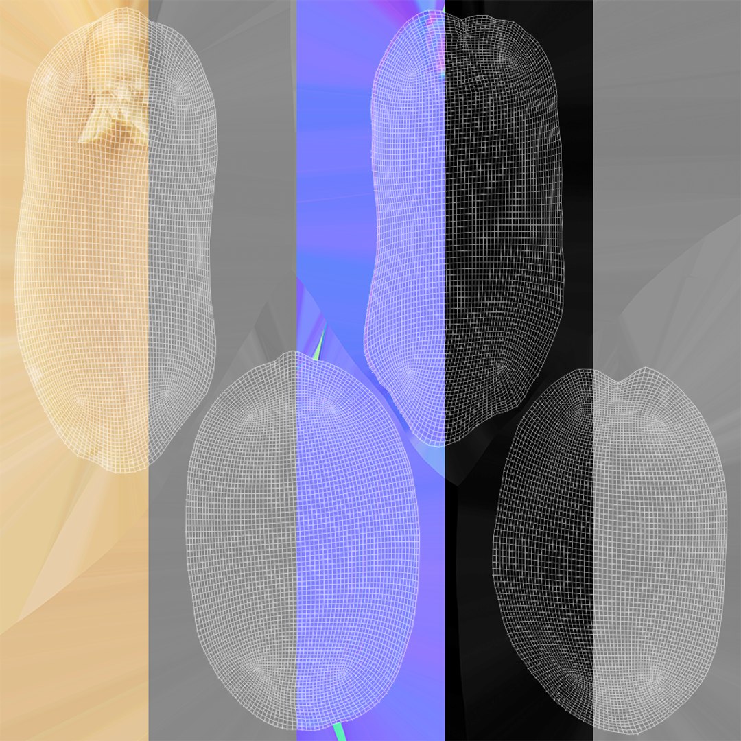 Peanut - Kernels 3D https://p.turbosquid.com/ts-thumb/2P/Ia8lxr/TS/peanut_kernel_cuts_uv/png/1722359996/1920x1080/fit_q87/73f271e29e22b5051f6118cf1410865edc2f5eec/peanut_kernel_cuts_uv.jpg