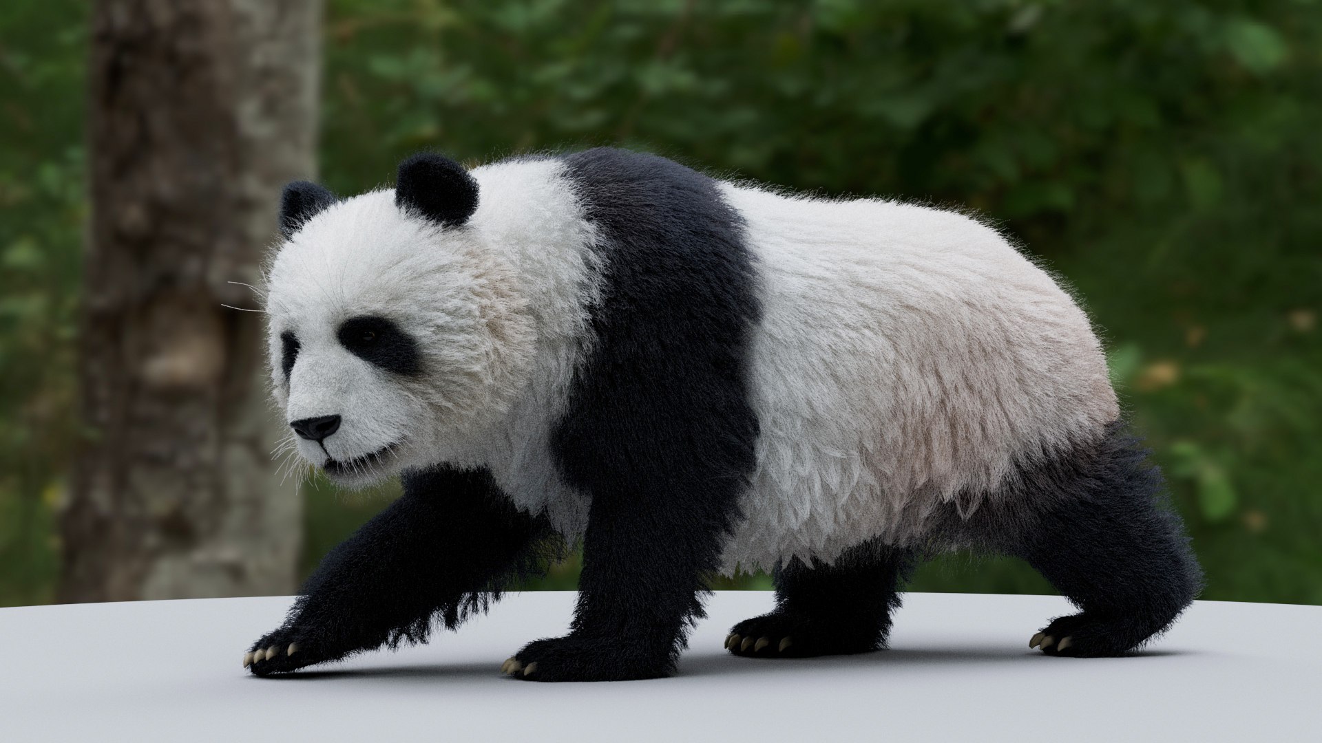 3D Panda RIGGED - TurboSquid 2055538