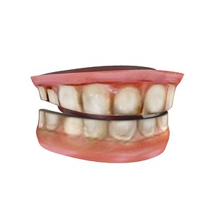 teeth tongue 3d model