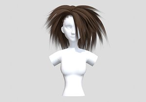 Thick Wide Hairstyle 3D
