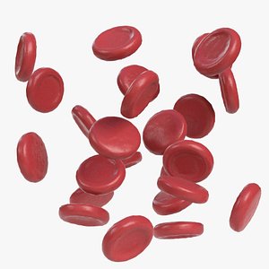 red blood cells 3D