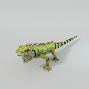 iguana 3D model