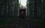 Zug, Wald, 3d, Szene
