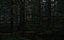 Zug, Wald, 3d, Szene