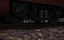 Zug, Wald, 3d, Szene