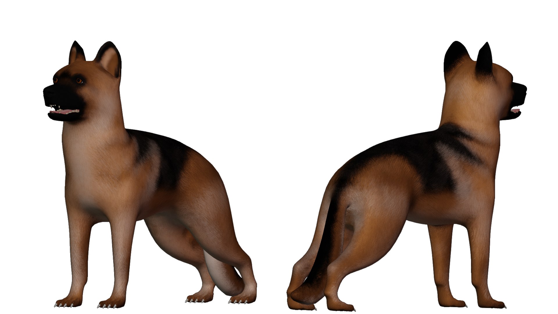 Yoga dogs poses and exercises german shepherd Vector Image