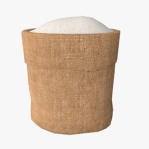 Rice in sackcloth model
