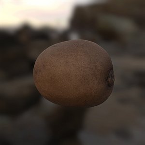 Kiwi