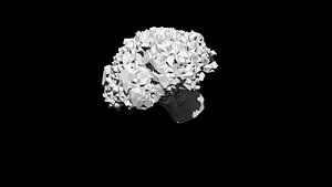 broccoli  cut 3D CT scan model 5 decimate5percent 3D model