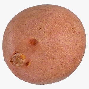 3D red potato 04 model