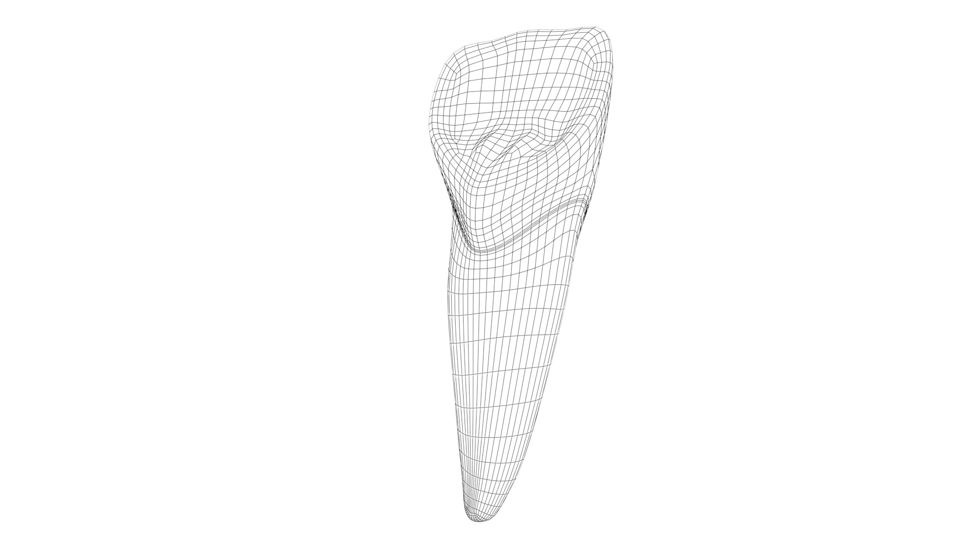 Upper Central Incisor Tooth 3D Model - TurboSquid 1769999