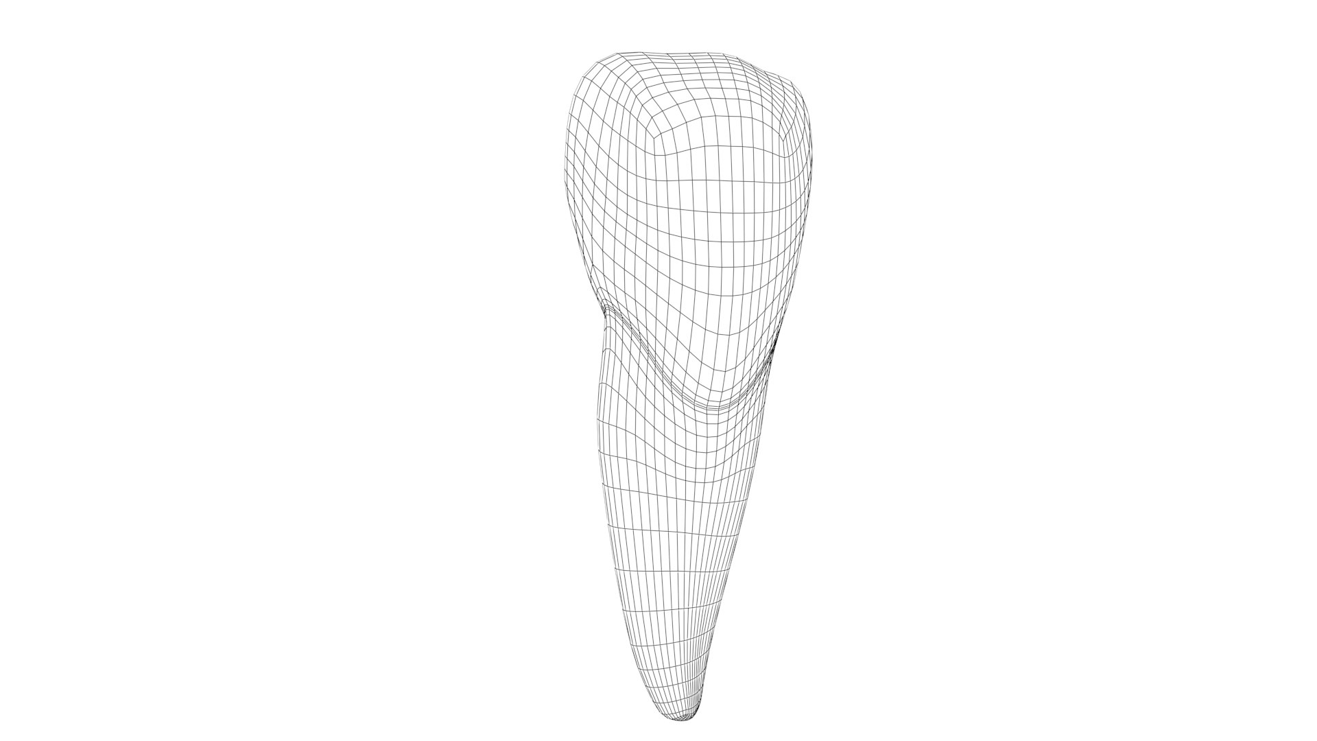 Upper Central Incisor Tooth 3D Model - TurboSquid 1769999
