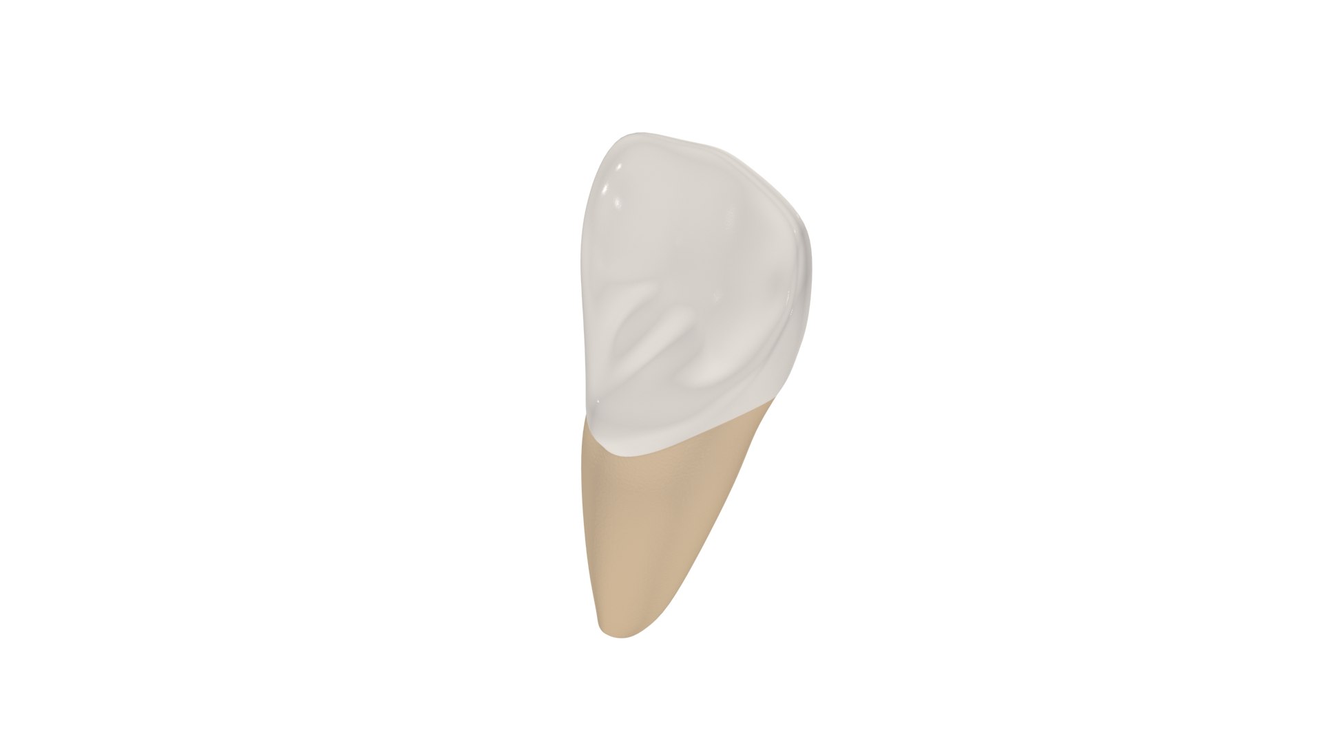 Upper Central Incisor Tooth 3D Model - TurboSquid 1769999