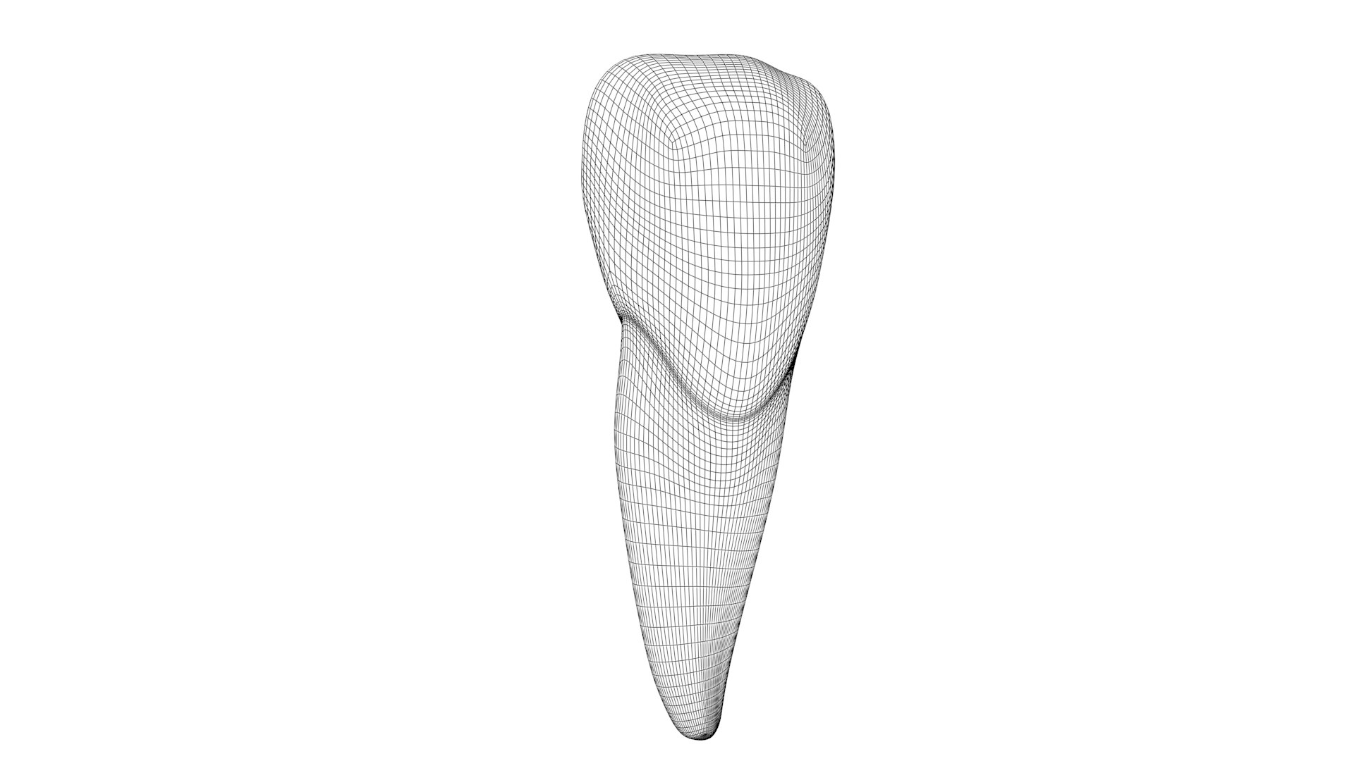 Upper Central Incisor Tooth 3D Model - TurboSquid 1769999