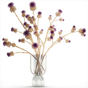 3D model Beautiful dried flower bouquet Thistle thorn in a glass vase 296