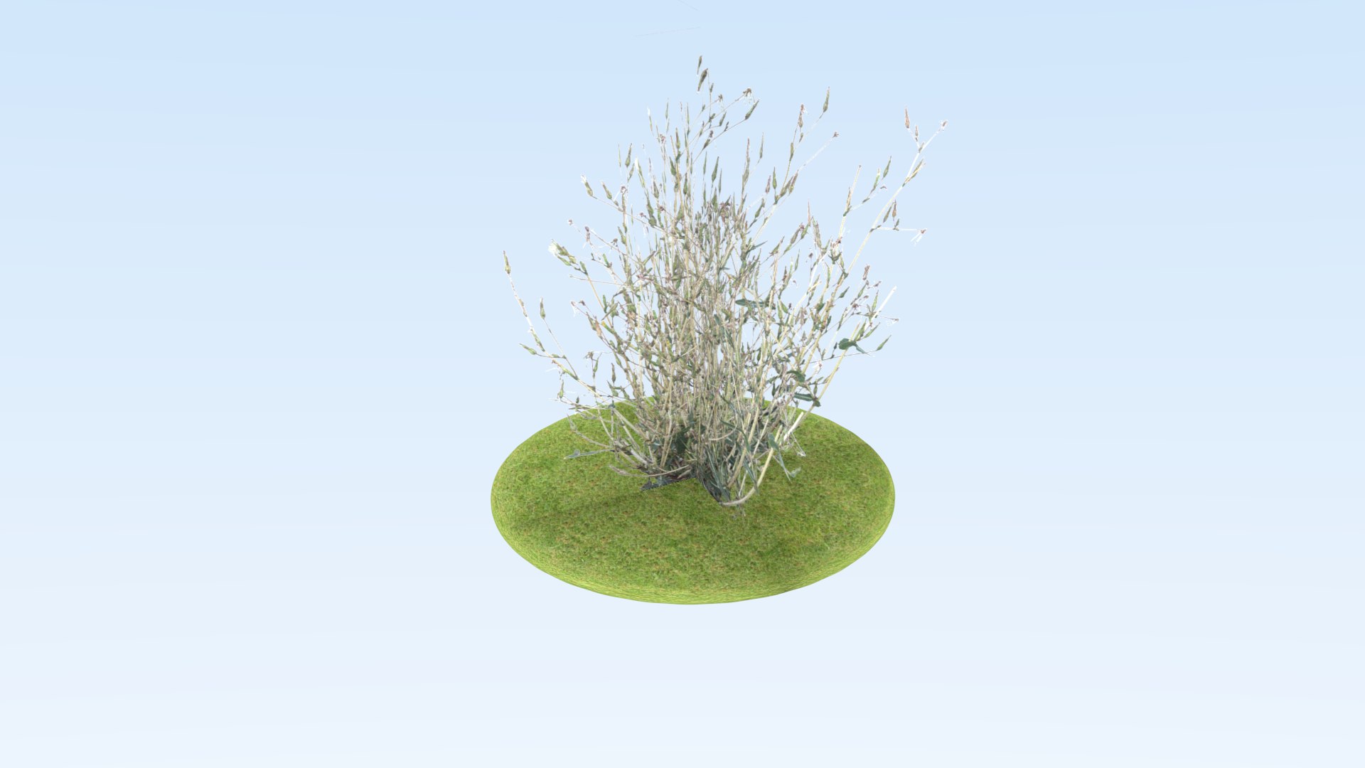 3D model set grass plant https://p.turbosquid.com/ts-thumb/2Q/yHNses/3Glid0bg/grprew9/png/1545436120/1920x1080/fit_q87/75d3386bd492ae7e1417176a2cef01df7a21b02f/grprew9.jpg