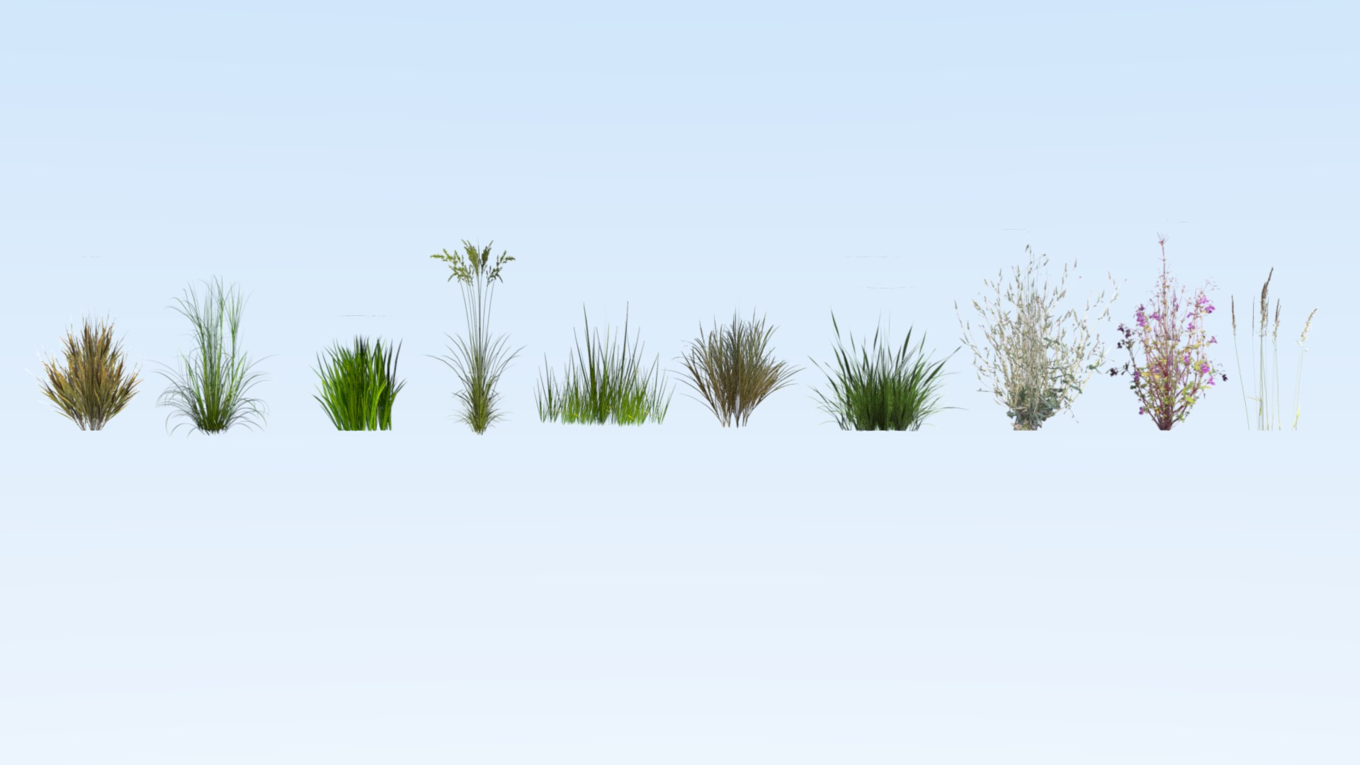 3D model set grass plant https://p.turbosquid.com/ts-thumb/2Q/yHNses/4r3Wg2xB/grprew12/png/1545436120/1920x1080/fit_q87/6de05f75b243778187f85842199f79da2c3ef9d1/grprew12.jpg