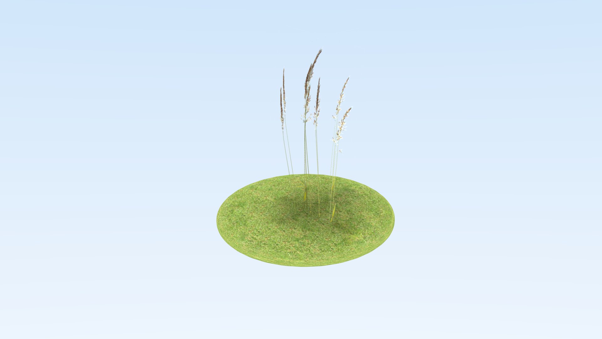 3D model set grass plant https://p.turbosquid.com/ts-thumb/2Q/yHNses/KObLgfL9/grprew11/png/1545436120/1920x1080/fit_q87/b1da4b813107fb711fd788bfa439610e94d8740e/grprew11.jpg