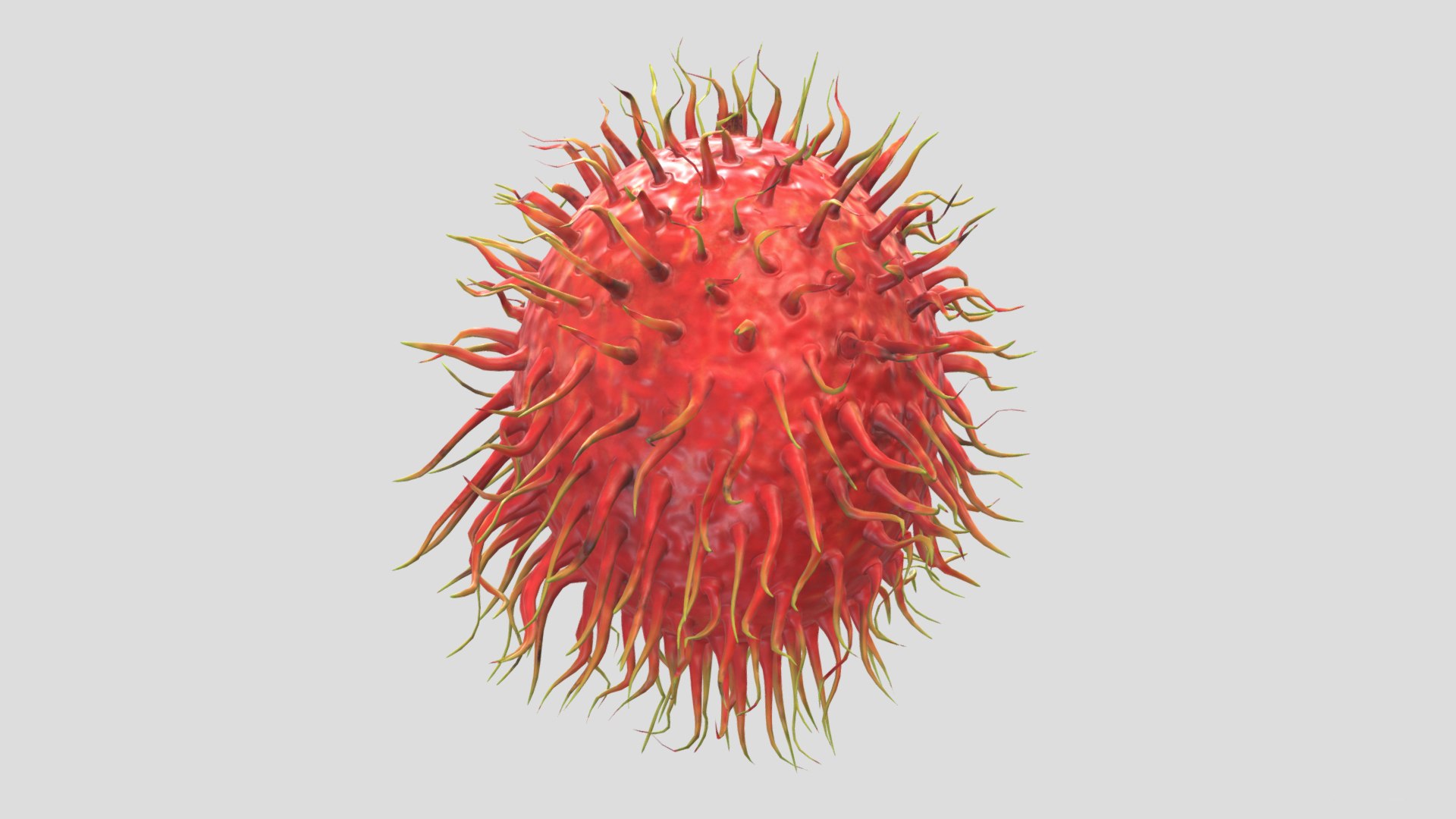 Rambutan Low Poly Model - TurboSquid 2367629