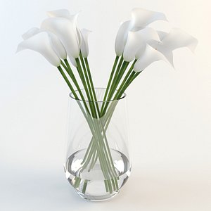 3d calla lilies vase