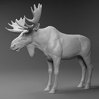 Moose basemesh