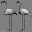 Flamingo - Folded Wings