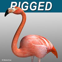 Flamingo - Folded Wings