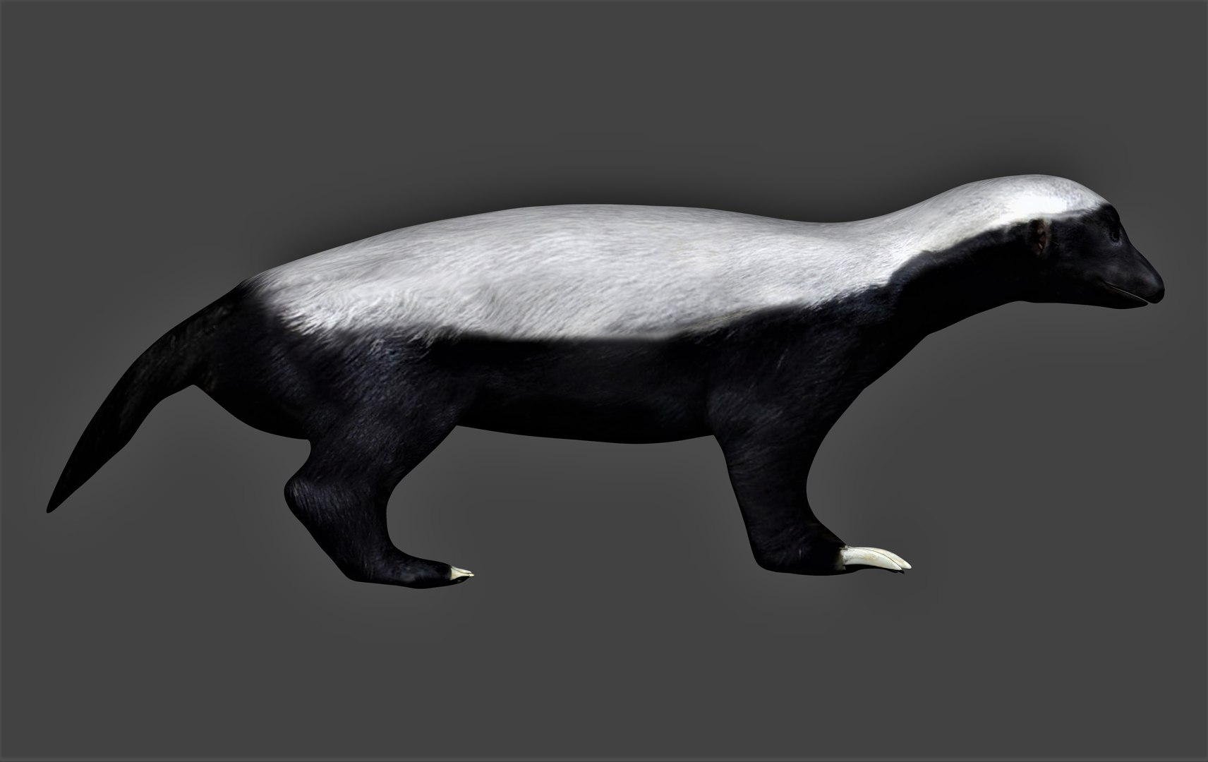 realistic rigged honey 3D model https://p.turbosquid.com/ts-thumb/2R/o3dZih/JK/02/jpg/1612219678/1920x1080/fit_q87/7917922574659048f3a558323c8ea271c78a8518/02.jpg