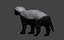 Low Poly Realistic rigged honey badger