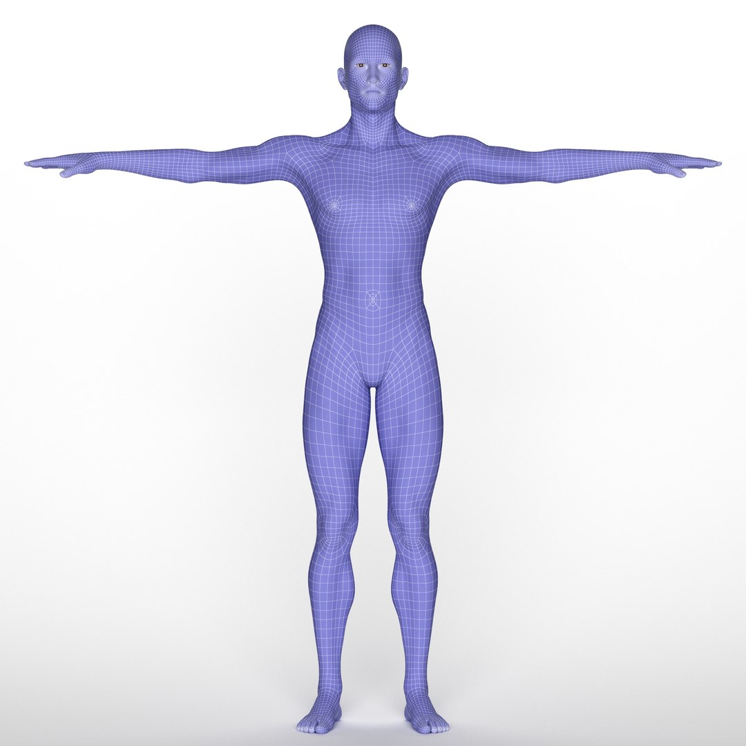 3D Gavin model https://p.turbosquid.com/ts-thumb/2R/q5fWrN/Ah/z014/jpg/1719021597/1920x1080/fit_q87/ced5234d2a78cc0fc512dcce1c21a8a093f6f3c2/z014.jpg