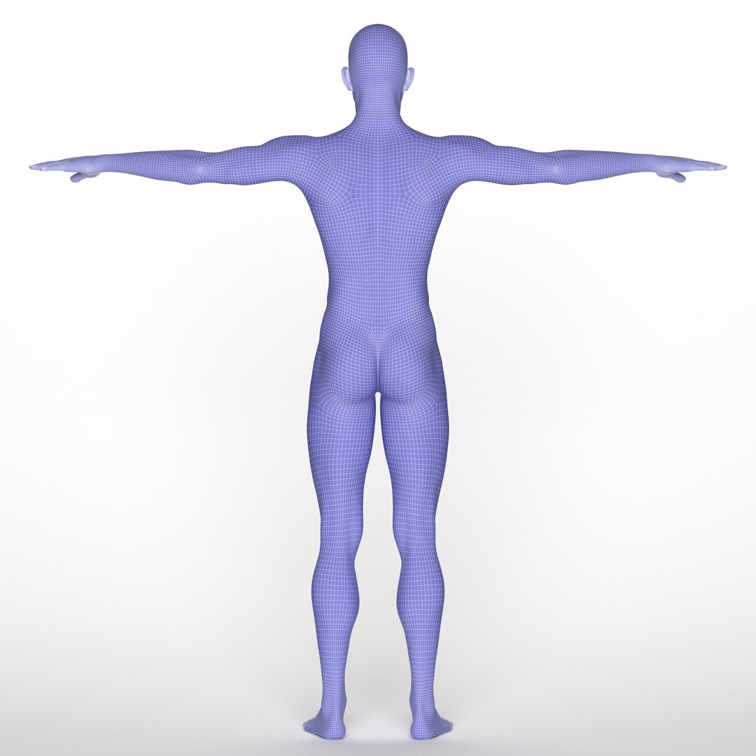 3D Gavin model https://p.turbosquid.com/ts-thumb/2R/q5fWrN/hf/z017/jpg/1719021602/1920x1080/fit_q87/b4f440ae62fb07c129990cab82533dd19732cc0e/z017.jpg