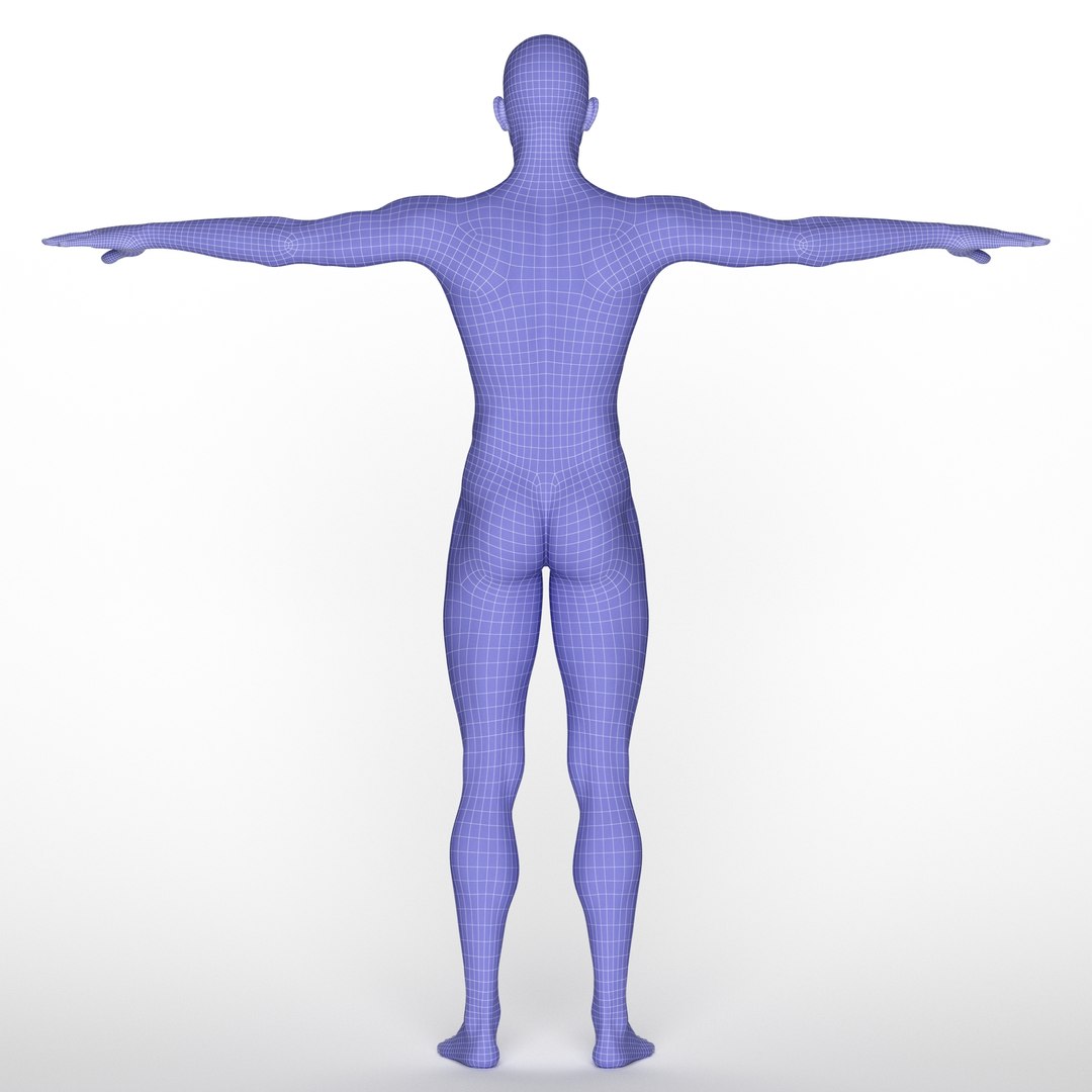 3D Gavin model https://p.turbosquid.com/ts-thumb/2R/q5fWrN/qE/z016/jpg/1719021599/1920x1080/fit_q87/9e7ce53034bc32cdf00541f6e780693a6dc72036/z016.jpg