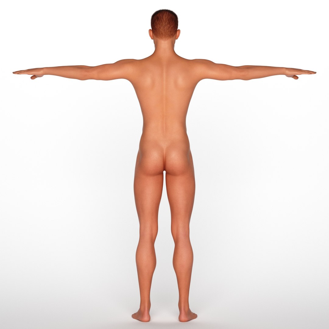 3D Gavin model https://p.turbosquid.com/ts-thumb/2R/q5fWrN/uQ/z009/jpg/1719021588/1920x1080/fit_q87/f82db45dbed6d64d269547e9b857b535da0847a7/z009.jpg