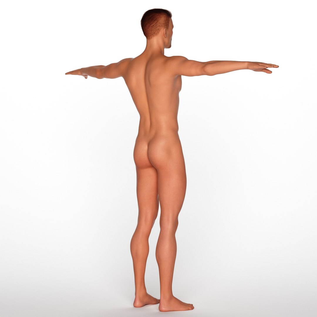 3D Gavin model https://p.turbosquid.com/ts-thumb/2R/q5fWrN/z0/z008/jpg/1719021578/1920x1080/fit_q87/607c9076907a6946b75fa1776b7bf124885cbda1/z008.jpg