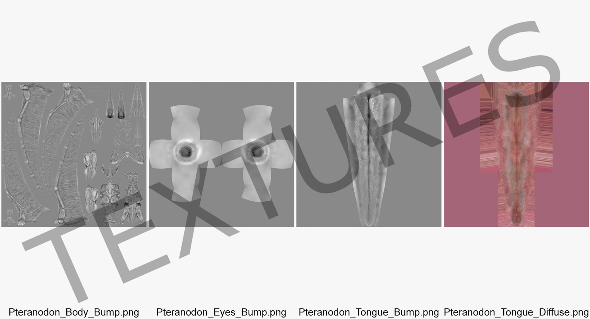 pteranodon flying carnivorous reptile model https://p.turbosquid.com/ts-thumb/2R/rjhB41/Ln3nBUnr/pteranodonflyingcarnivorousreptilelandingposewithfurmb3dmodel012/jpg/1551868537/1920x1080/fit_q87/0d8eac0caf37273d2c3239001bd2d25cb91a3d73/pteranodonflyingcarnivorousreptilelandingposewithfurmb3dmodel012.jpg