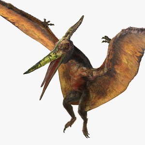 pteranodon flying carnivorous reptile model