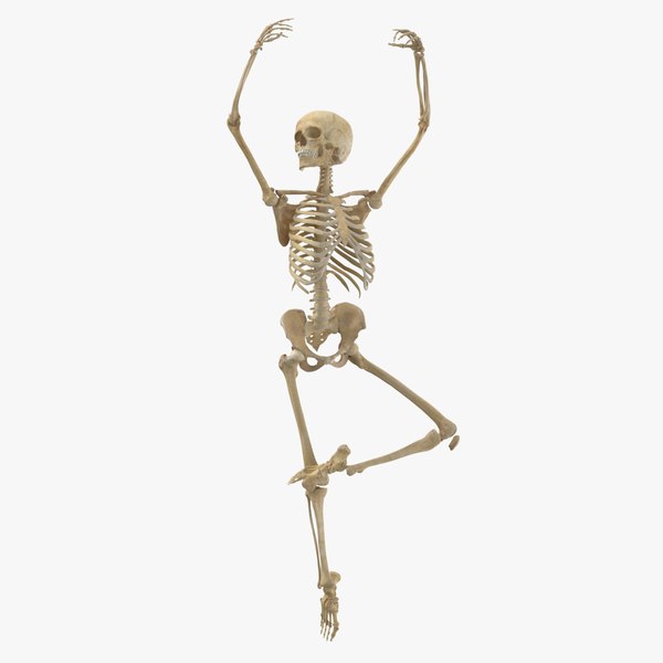 Anatomy 3D Models for Download Biology Diagrams