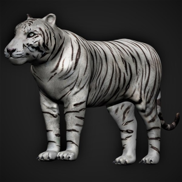 Tiger Blender Models for Download TurboSquid
