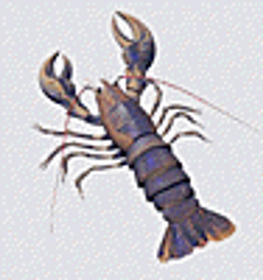 crustacean 3d model https://p.turbosquid.com/ts-thumb/2S/FQ2E3D/58DBeg90/lobsterth/gif/1007278236/1920x1080/fit_q87/c70dbf9a0add430cf3b8efa83251daa08b156b69/lobsterth.jpg