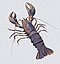 HOMARD