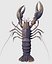 HOMARD