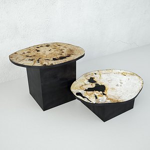 3D Petrified Wood Slice Coffee Tables 6